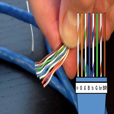 Network Cable
